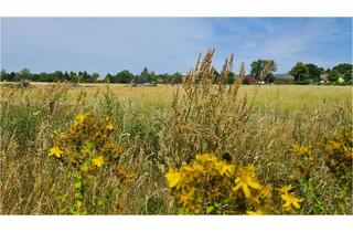 Haus kaufen in 15910 Bersteland, ^^Wohnen im Winkelbungalow auf einer Ebene - schön!^^