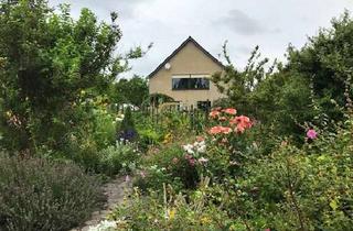Haus mieten in Langer Weg 20, 04861 Torgau, Preiswertes, großes und modernisiertes 6-Zimmer-Haus mit Einbauküche in Torgau