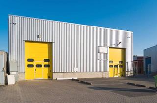 Gewerbeimmobilie mieten in 74366 Kirchheim, sofort verfügbar Lager- & Produktionshalle - vielseitig nutzbar