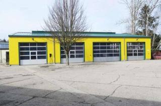 Gewerbeimmobilie mieten in Gewerbegebiet 19, 18609 Binz, beheizte Lager- / Produktionshalle