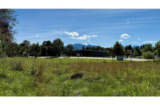 Grundstück zu kaufen in 83254 Breitbrunn, Baugrundstück mit Baugenehmigung (3 WE) • teilbar • Süd-/Westlage • Bergblick