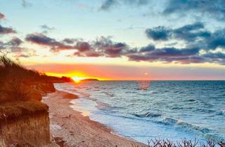 Grundstück zu kaufen in 18556 Dranske, Vorletztes Grundstück in Süd-Westausrichtung mit Boddenblick & 5 Minuten fussläufig zur Ostsee