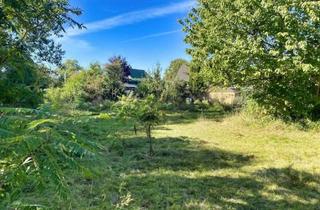 Grundstück zu kaufen in 16259 Heckelberg-Brunow, Ihr Rückzugsort im Grünen – Erholungsgrundstück in Märkisch-Oderland mit Bebauungsmöglichkeit