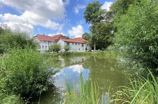 Immobilie mieten in 38116 Lehndorf, Helles 2-Zimmer Apartment mit einmaligem Ausblick in Braunschweig