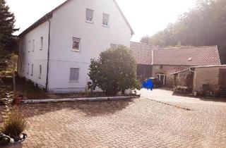Mehrfamilienhaus kaufen in 04668 Grimma, Grimma - Mehrfamilienhaus Bauernhof