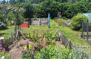 Einfamilienhaus kaufen in 69483 Wald-Michelbach, Wald-Michelbach - Modernisiertes Einfamilienhaus mit ELW und großzügiger Scheune