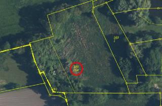 Grundstück zu kaufen in 26810 Westoverledingen, Westoverledingen - Bieterverfahren: 0,7 ha Landwirtschaftsfläche in Westoverledingen