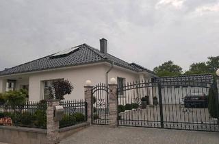 Einfamilienhaus kaufen in 29640 Schneverdingen, Schneverdingen - Einfamilienhaus Bungalow