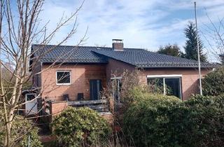 Einfamilienhaus kaufen in 38524 Sassenburg, Sassenburg - Helles Einfamilienhaus in ruhiger Seitenstraße