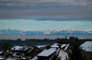 Wohnung kaufen in 79865 Grafenhausen, Grafenhausen - Neues modernes und energetisches Appartement zu verkaufen