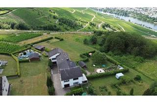 Einfamilienhaus kaufen in 54470 Graach, Graach - Wohnen mit Moselblick: Modernisiertes Einfamilienhaus mit großem Grundstück