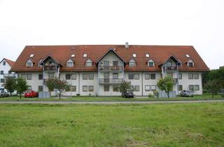 Wohnung mieten in 01665 Klipphausen, Große 1-Zimmerwohnung mit Terrase in Wildberg