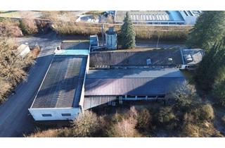 Gewerbeimmobilie mieten in 58802 Balve, Produktions- /Lagerhalle mit Verwaltungsgebäude