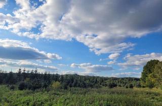 Anlageobjekt in 16775 Löwenberger Land, EVENTFLÄCHE/Weihnachtsbaumplantage in Grüneberg - Zollkrug