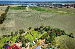 Grundstück zu kaufen in 18311 Ribnitz-Damgarten, Baugrundstück in idyllischer Ortsrandlage