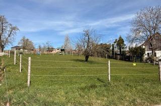 Grundstück zu kaufen in 75385 Bad Teinach-Zavelstein, Bauplatz in Bad Teinach-Zavelstein - Stadtteil Rötenbach - sofort bebaubar!