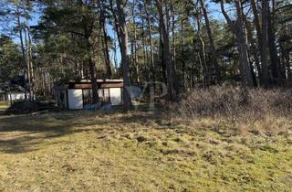 Grundstück zu kaufen in 17454 Zinnowitz, Wohnglück am Küstenwald: Großes Grundstück nahe Strandweg