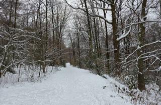 Grundstück zu kaufen in Gerhardsberg, 42859 Remscheid, Waldgrundstück Remscheid