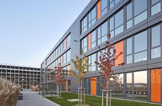 Büro zu mieten in Hohenbüchen, 38444 Hattorf, Attraktive Büroflächen mit offenem Raumkonzept