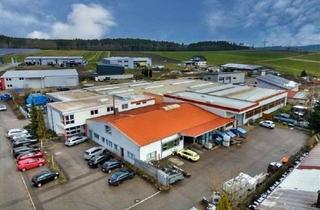 Lager kaufen in 78078 Niedereschach, Moderne Produktionshalle mit Büros