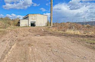 Gewerbeimmobilie kaufen in 06526 Sangerhausen, Standort mit Weitblick