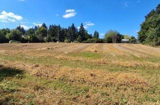 Grundstück zu kaufen in 08527 Plauen, Paketangebot - 2 Grundstücke Land- und Forstwirtschaft Ackerland in Plauen (Thiergarten)