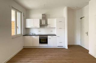 Wohnung mieten in Wollestraße 65, 14482 Babelsberg Nord, 2-Zimmer Erdgeschosswohnung mit großer Sonnenterrasse