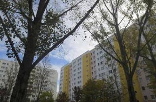 Wohnung mieten in Vincent-Van-Gogh-Straße 43, 13057 Neu-Hohenschönhausen, Gepflegte 2-Zimmerwohnung mit Loggia und Einbauküche in Berlin