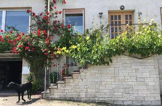 Haus kaufen in Am Hartenknapp 13, 34516 Vöhl, Zweifamilien-Massivhaus