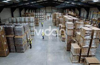 Gewerbeimmobilie mieten in 53842 Troisdorf, HALLE | BÜRO | RAMPEN | EBENERDIGE TORE | VIDAN REAL ESTATE