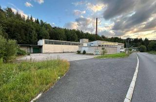 Gewerbeimmobilie kaufen in Klingenthaler Hauptstraße 23e, 08262 Tannenbergsthal, Gewerbeimmobilie mit Entwicklungspotenzial - ca. 6.000 m² Nutzfläche provisionsfrei im Share Deal