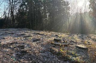 Grundstück zu kaufen in 90559 Burgthann, Idyllisches Baugrundstück am Mühlbach mit positiver Bauvoranfrage für ein Doppelhaus