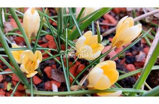 Immobilie kaufen in 75365 Calw, Grundstück in Südhanglage in Calw - Stammheim zu verkaufen