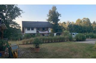 Einfamilienhaus kaufen in 38458 Velpke, Velpke - Haus in Velpke: 8 Zimmer, 5.130 m2 Grundstück, Pool, Kamin