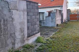 Einfamilienhaus kaufen in 06780 Zörbig, Zörbig - freistehendes Einfamilienhaus in einem Ortsteil von Zörbig