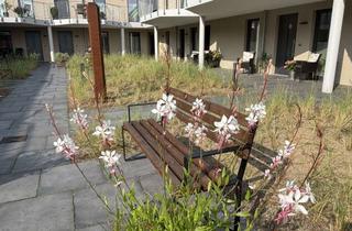 Wohnung mieten in Rathausstraße 15 a, 24960 Glücksburg, Moderne und zentrumsnahe 3 Zimmer Wohnung im Herzen Glücksburgs