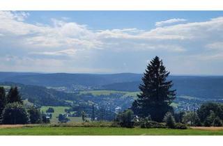 Gewerbeimmobilie kaufen in 08248 Klingenthal, Immobilie mit großem Potential!