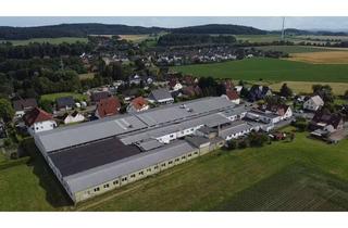 Gewerbeimmobilie kaufen in 32694 Dörentrup, Großes Gewerbeobjekt in Dörentrup