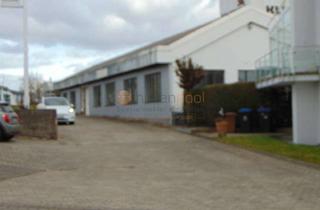 Gewerbeimmobilie mieten in 56290 Lieg, Lagerhalle ca. 320 m² (2,50 EUR/m²), PROVISIONSFREI in 56290 Lieg zu vermieten