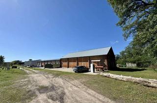 Gewerbeimmobilie mieten in 16269 Bliesdorf, Lagerhallen mit großem Grundstück zwischen Wriezen und Neuhardenberg