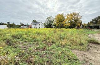 Grundstück zu kaufen in Buchenallee 33, 16359 Biesenthal, hintere Teilfläche: 500 m² Baugrundstück in Biesenthal