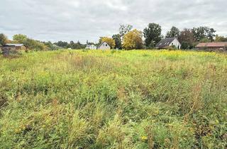 Grundstück zu kaufen in Buchenallee 33, 16359 Biesenthal, Vordere Teilfläche: 500 m² Baugrundstück in Biesenthal