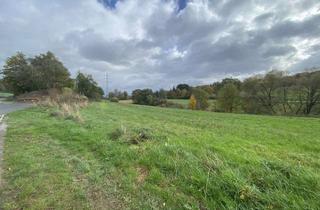 Grundstück zu kaufen in 59846 Sundern, Ihr LUXHAUS im Grünen - idyllisch gelegenes Grundstück in Sundern