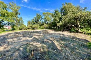 Grundstück zu kaufen in Klosterweg, 25572 Ecklak, Idyllisches Baugrundstück mit Baugenehmigung in herrlicher Alleinlage