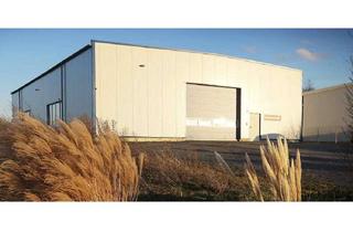 Lager mieten in 59469 Ense, Produktionshalle / Lagerhalle mit 2 Rolltoren + Abstellfläche