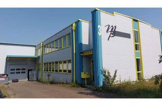 Lager kaufen in 30900 Wedemark, MGK bietet Wedemark: Büro- und Gewerbehalle inkl. Fachboden-Steckregalsystem