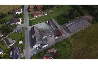 Gewerbeimmobilie kaufen in 32694 Dörentrup, Gewerbeobjekt in BEGA