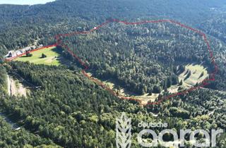 Gewerbeimmobilie kaufen in 77887 Sasbachwalden, Ein Stück SchwarzWALD ca. 42 ha in der Nähe von Achern bei Sasbachwalden