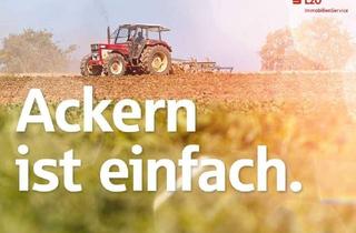 Gewerbeimmobilie kaufen in 26676 Barßel, Bestes Ackerland in Barßel!