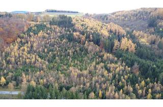 Gewerbeimmobilie mieten in 59872 Meschede, Ca. 17,16 ha Forstfläche in Meschede-Wehrstapel